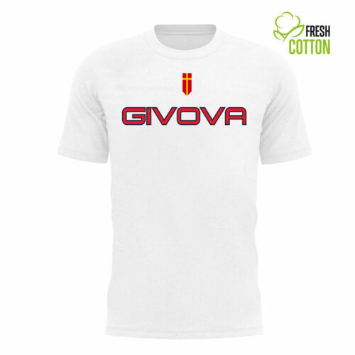 Maillot De Football Gustavo 2015-16 - Équipe Messina Givova Numéro 10 - Taille L - Occasion
